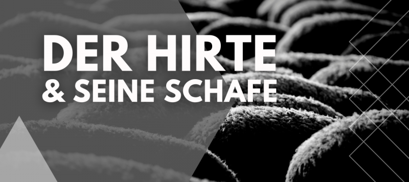 Der Hirte und seine Schafe