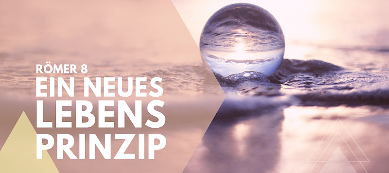 Ein neues Lebensprinzip